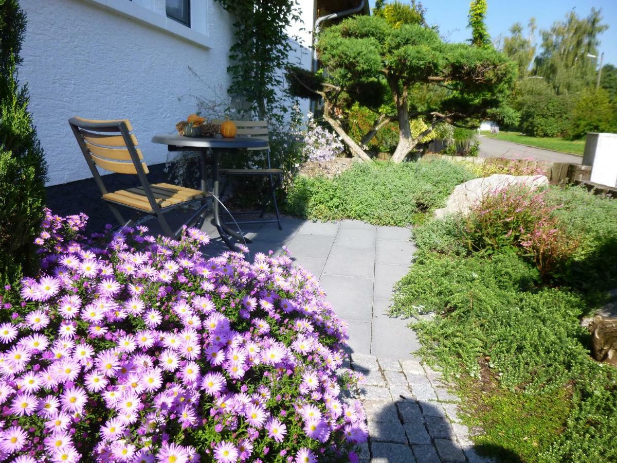 Ambiente In Karlsruhe City ภายนอก รูปภาพ